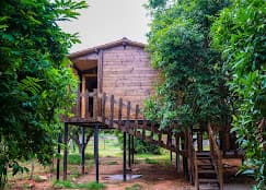 Treehouse
